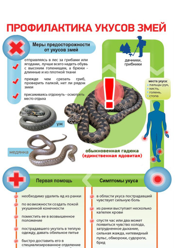 Осторожно - змеи! Осторожно - змеи!.