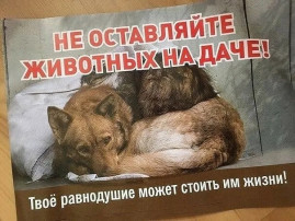 Зоозащитная акция "Не оставляй меня на даче!" Зоозащитная акция "Не оставляй меня на даче!".
